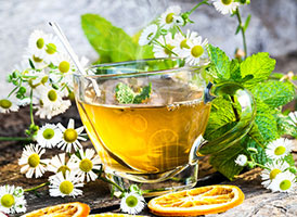 Kamillepflanze, ein Glas Tee und Zitronenscheiben